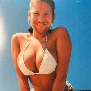 WINDOWLICKER